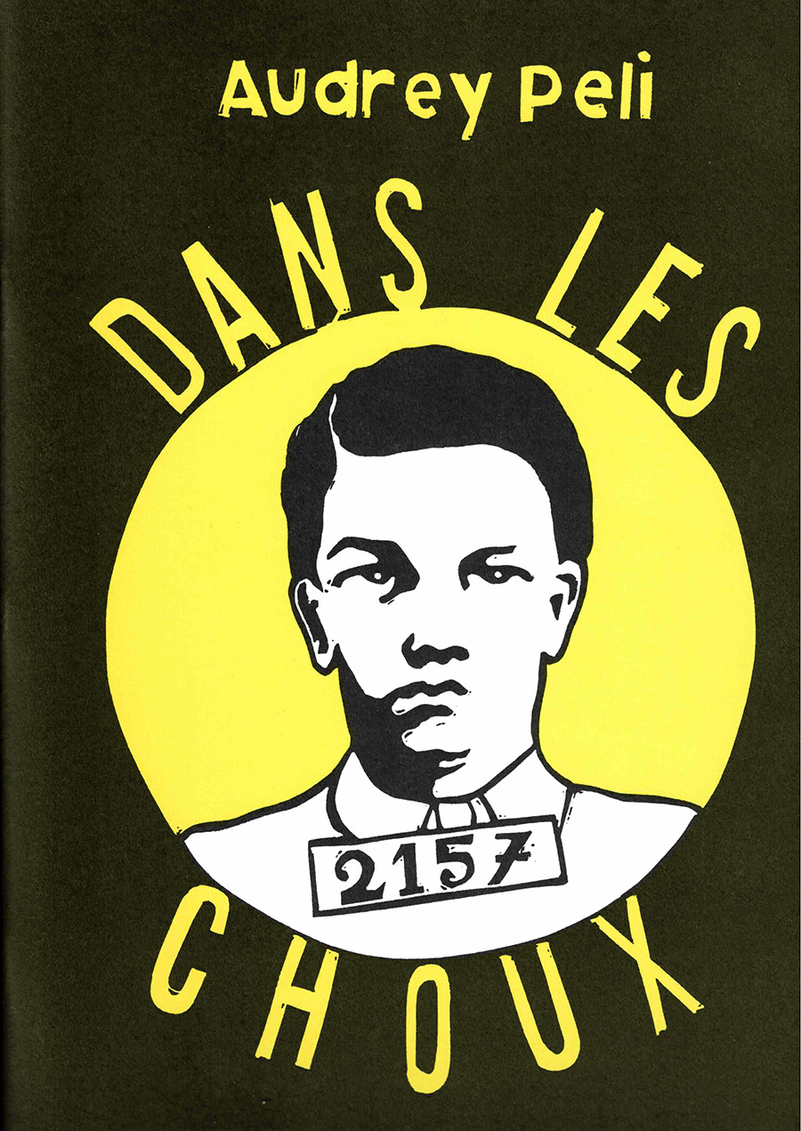 Couverture du livre : Dans les choux